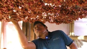 Perjalanan Bawang Merah dari Lahan hingga Meja Makan