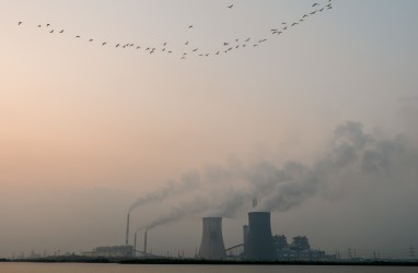 Sinyal Lampu Merah Batu Bara dari COP29