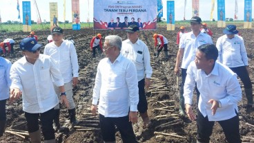 Swasembada Gula Ditargetkan Sebelum 2028, Ini Kata Menko Pangan