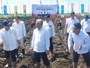 Swasembada Gula Ditargetkan Sebelum 2028, Ini Kata Menko Pangan