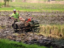 Historia Bisnis: Susul Konglomerat lain, Prajogo dan Sukanto Siap Cetak Sawah Baru