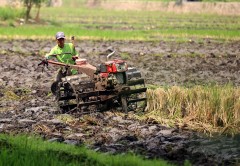 Historia Bisnis: Susul Konglomerat lain, Prajogo dan Sukanto Siap Cetak Sawah Baru