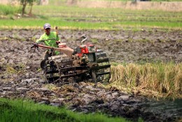 Historia Bisnis: Susul Konglomerat lain, Prajogo dan Sukanto Siap Cetak Sawah Baru