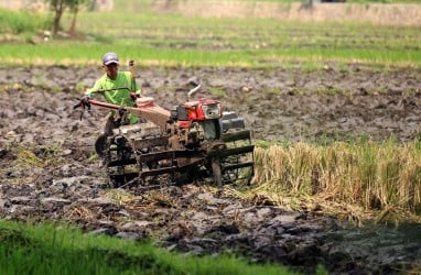 Historia Bisnis: Susul Konglomerat lain, Prajogo dan Sukanto Siap Cetak Sawah Baru