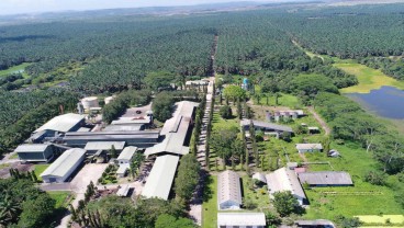 Bisikan Saham Adaro Minerals (ADMR) Jelang IPO AADI