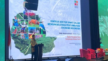 Bos BPDPKS Akui Produk Turunan Sawit RI Kalah dari Malaysia