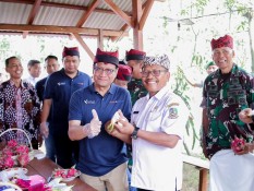 Pupuk Kaltim Dorong Produktivitas Buah Naga di Banyuwangi