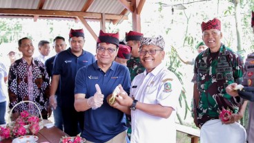Pupuk Kaltim Dorong Produktivitas Buah Naga di Banyuwangi