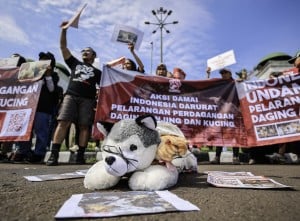 Aksi Pelarangan Perdagangan Daging Anjing Dan Kucing