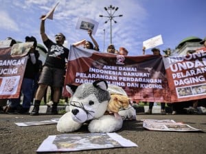 Masyarakat yang tergabung dalam koalisi Dog Meat Free Indonesia (DMFI) menggelar aksi damai di depan Kompleks Parlemen, Senayan, Jakarta.