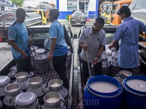 Kebutuhan susu nasional mencapai 4,7 juta ton per tahun, sementara produksi nasional hanya sekitar 1 juta ton atau hanya memenuhi 21 persen kebutuhan nasional.