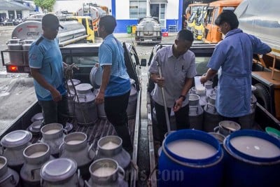 Produksi Susu Terbatas, Belum Mencukupi Kebutuhan Nasional