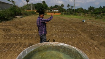 Pertanian Berkelanjutan di Rubaru Sumenep, Kearifan Warisan Leluhur