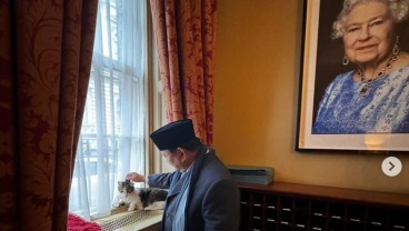 Foto Prabowo Elus Larry the Cat di Kantor PM Inggris, Warganet: Bobby Kertanegara Galau
