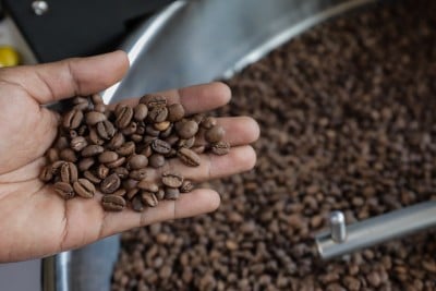 Harga Kopi Makin Pahit Lagi