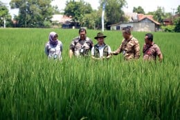 Jelajah UMKM: Langkah Pasti PT Nur Aen Agritama Kembali Bangkitkan Karawang Jadi Lumbung Pangan