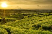 4 Desa di Asia Tenggara Masuk dalam Daftar Desa Wisata Terbaik Dunia, Ada di Indonesia?