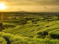 4 Desa di Asia Tenggara Masuk dalam Daftar Desa Wisata Terbaik Dunia, Ada di Indonesia?