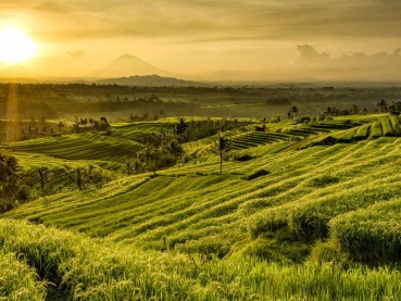 4 Desa di Asia Tenggara Masuk dalam Daftar Desa Wisata Terbaik Dunia, Ada di Indonesia?