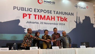PT Timah TINS Yakin 2025 Harga Timah Makin Berkilau