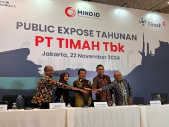 PT Timah TINS Yakin 2025 Harga Timah Makin Berkilau