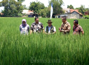 Bank BJB Salurkan Pinjaman Untuk Perkembangan UMKM