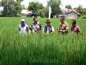 Saat ini Bank BJB telah menyalurkan pinjaman mencapai Rp250 miliar untuk perkembangan UMKM salah satunya KUR untuk 1.500 debitur di Karawang, Jawa Barat.