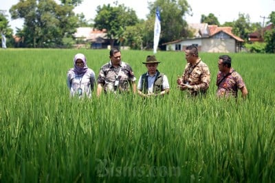 Bank BJB Salurkan Pinjaman Untuk Perkembangan UMKM