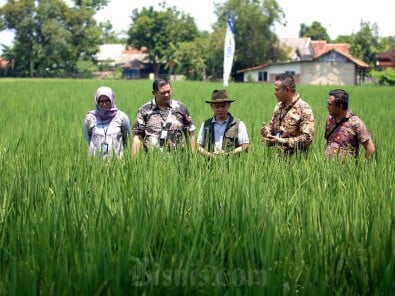 Bank BJB Salurkan Pinjaman Untuk Perkembangan UMKM