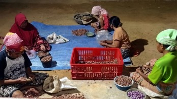 Pengolahan Bawang Goreng di Sumenep Berdayakan Perempuan dan Dongkrak Ekonomi Lokal