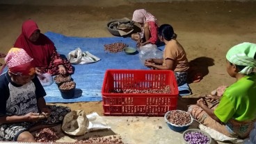 Pengolahan Bawang Goreng di Sumenep Berdayakan Perempuan dan Dongkrak Ekonomi Lokal