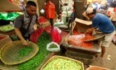 Harga Pangan Hari Ini 23 November: Bawang dan Cabai Turun, Minyak Goreng Naik