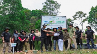 BRI dan Kelompok Tani Kolaborasi Hijaukan Lahan Bekas Tambang