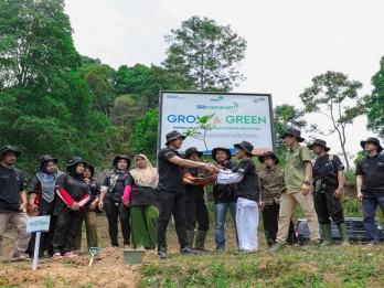 BRI dan Kelompok Tani Kolaborasi Hijaukan Lahan Bekas Tambang