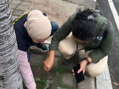 Ratusan Burung Pipit Mati di Bandara Ngurah Rai, Ini Temuan BKSDA