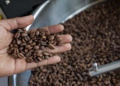 Alarm Menyala, Harga Kopi Tertinggi dalam Hampir Setengah Abad