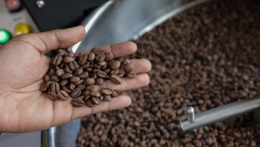 Alarm Menyala, Harga Kopi Tertinggi dalam Hampir Setengah Abad