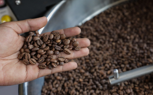 Alarm Menyala, Harga Kopi Tertinggi dalam Hampir Setengah Abad