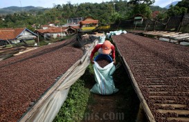 UMP Naik 6,5%, Buruh Curhat Gaji hanya Bertambah Rp1.000 per Tahun