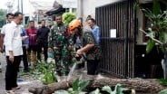 Puting Beliung di Surabaya, Penanganan Masih Berlangsung