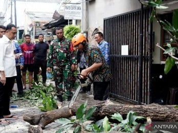 Puting Beliung di Surabaya, Penanganan Masih Berlangsung