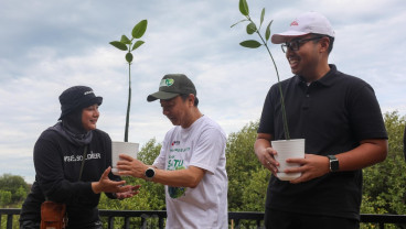 Penanaman 2.500  Bibit Mangrove