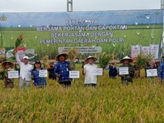 Program FEP Besutan Pemkab Blora dan WPI Panen Perdana