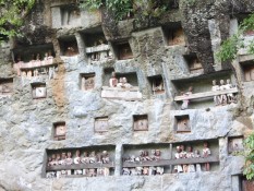 FAKTA UNIK: Tradisi Ma'Nene, Ritual Gali Makam dan Mengganti Pakaian Mayat Leluhur di Toraja