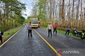 Kendaraan Rombongan Siswa SMA Panji Terguling di Baluran