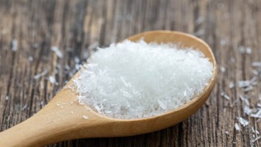 Ini Sumber Rasa Umami untuk Gantikan Penggunaan Mecin