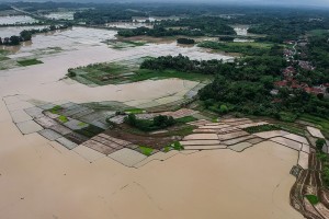 Lahan Persawahan Terendam Banjir Di Kabupaten Serang