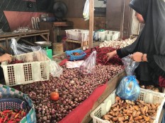 Stok Beras dan Bawang Merah Kulon Progo Aman Hingga Nataru