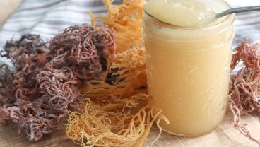 Sea Moss Gel, Makanan yang Ramai Dikonsumsi Para Influencer