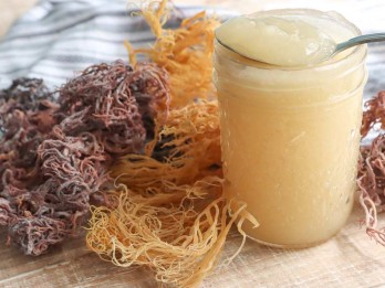 Sea Moss Gel, Makanan yang Ramai Dikonsumsi Para Influencer